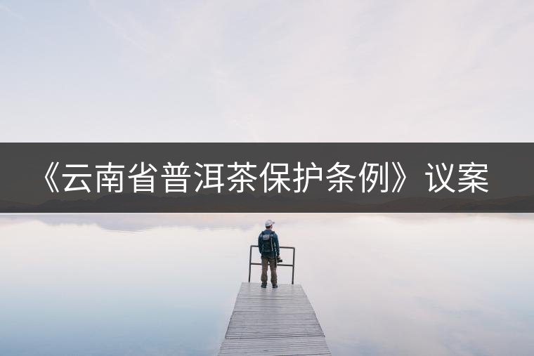 《云南省普洱茶保護(hù)條例》議案