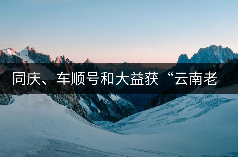 同慶、車順號(hào)和大益獲“云南老字號(hào)”稱號(hào) 同慶、車順號(hào)和大益獲“云南老字號(hào)”稱號(hào)