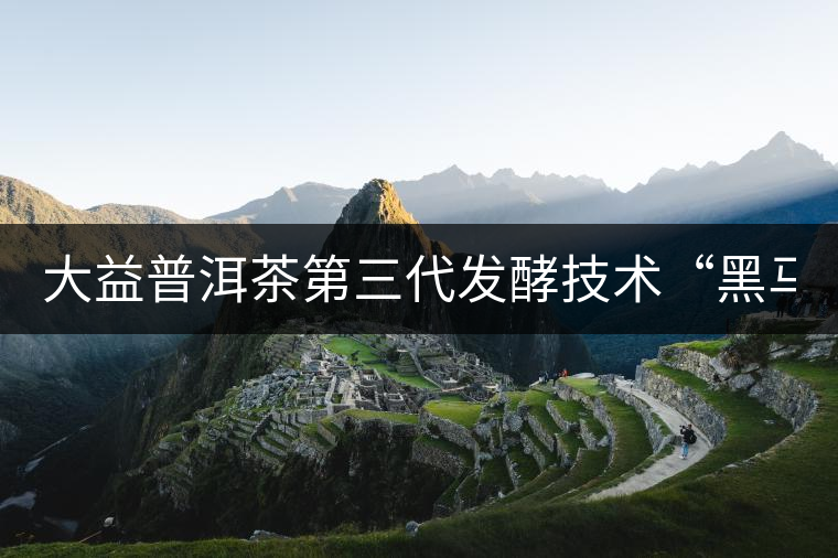 大益普洱茶第三代發(fā)酵技術“黑馬” 大益普洱茶第三代發(fā)酵技術“黑馬”