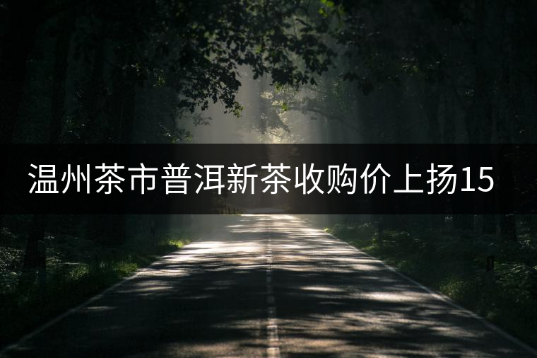 溫州茶市普洱新茶收購價上揚(yáng)15% 溫州茶市普洱新茶收購價上揚(yáng)15%