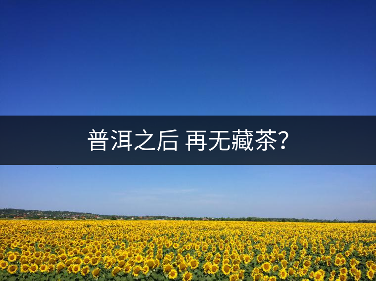 普洱之后 再無藏茶？