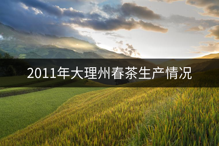 2011年大理州春茶生產(chǎn)情況 2011年大理州春茶生產(chǎn)情況