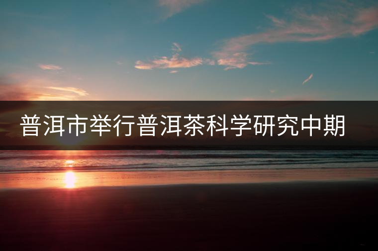普洱市舉行普洱茶科學研究中期報告會 普洱市舉行普洱茶科學研究中期報告會