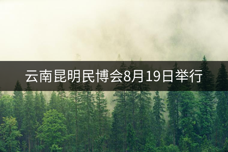 云南昆明民博會8月19日舉行 云南昆明民博會8月19日舉行