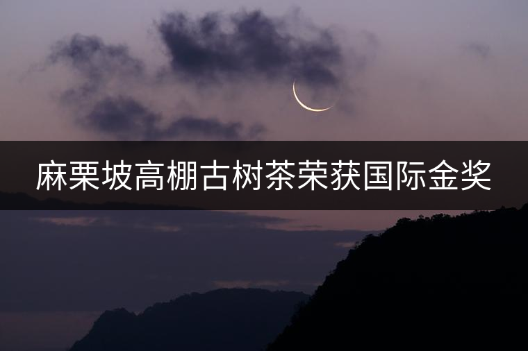 麻栗坡高棚古樹茶榮獲國際金獎(jiǎng)