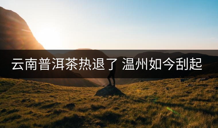 云南普洱茶熱退了 溫州如今刮起了“黑茶風” 云南普洱茶熱退了 溫州如今刮起了“黑茶風”