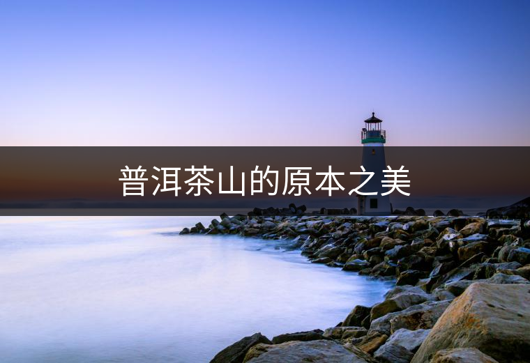 普洱茶山的原本之美 普洱茶山的原本之美