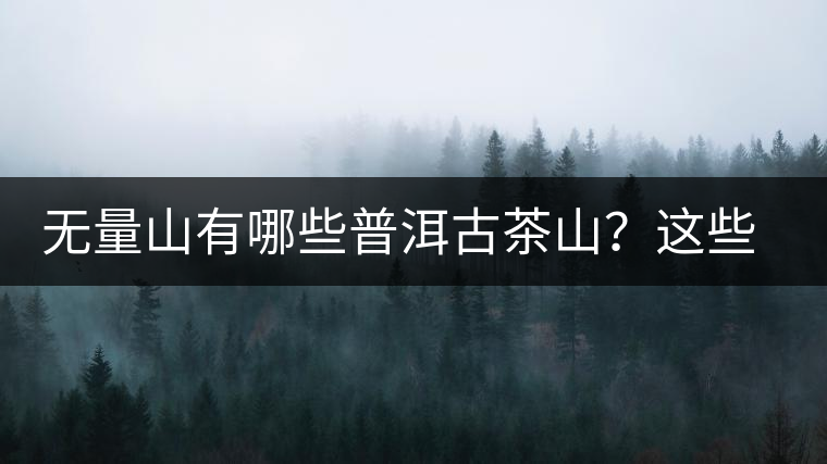 無(wú)量山有哪些普洱古茶山？這些古茶山的茶葉怎么樣？