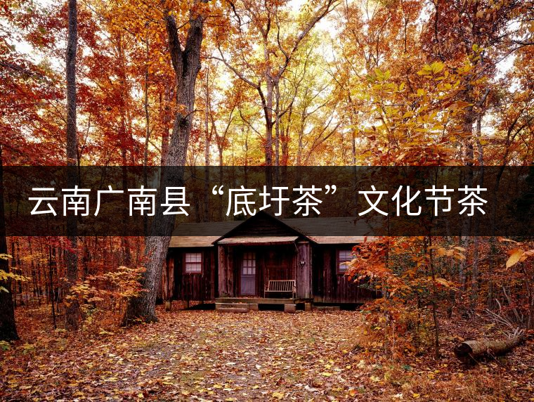 云南廣南縣“底圩茶”文化節(jié)茶品評會傳遞底圩傳統(tǒng)茶韻 云南廣南縣“底圩茶”文化節(jié)茶品評會傳遞底圩傳統(tǒng)茶韻