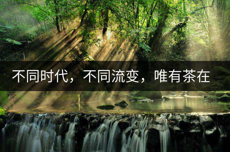 不同時代，不同流變，唯有茶在傳承