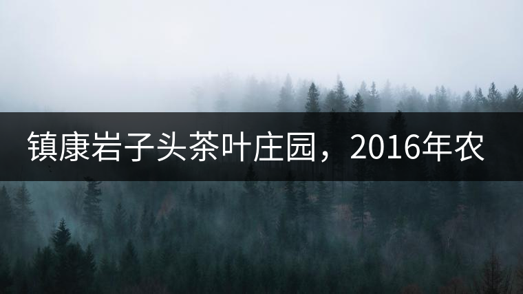鎮(zhèn)康巖子頭茶葉莊園，2016年農(nóng)業(yè)產(chǎn)值達(dá)6000余萬元