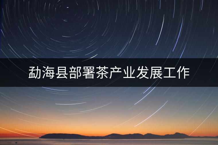 勐?？h部署茶產(chǎn)業(yè)發(fā)展工作