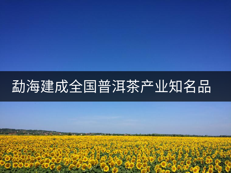 勐海建成全國普洱茶產(chǎn)業(yè)知名品牌創(chuàng)建示范區(qū) 勐海建成全國普洱茶產(chǎn)業(yè)知名品牌創(chuàng)建示范區(qū)