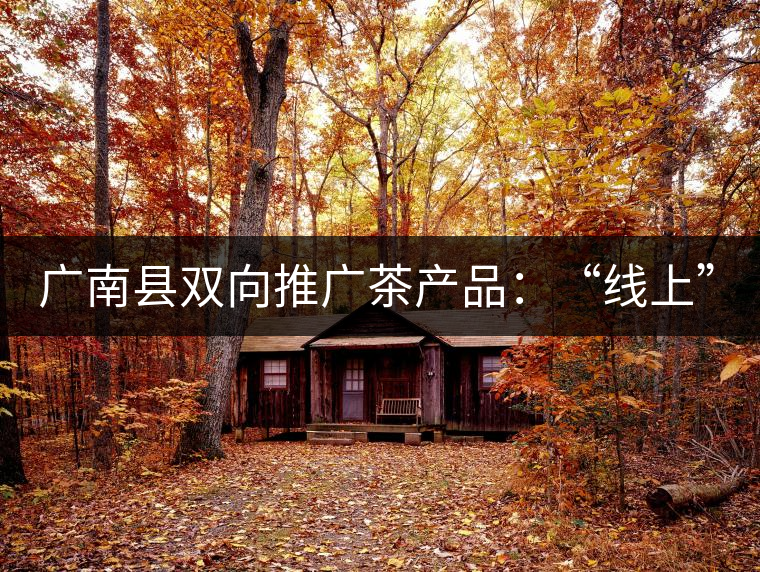 廣南縣雙向推廣茶產(chǎn)品：“線上”銷售茶葉已有100多家，“線下”銷售額已達百萬