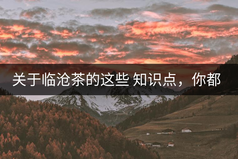 關(guān)于臨滄茶的這些 知識(shí)點(diǎn)，你都知道嗎？