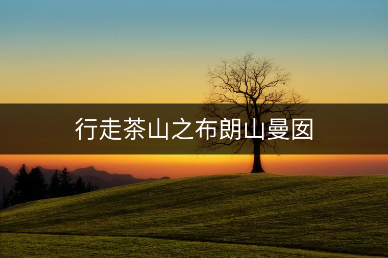 行走茶山之布朗山曼囡 行走茶山之布朗山曼囡