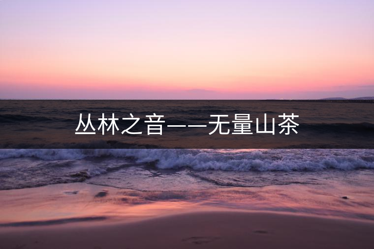 叢林之音——無(wú)量山茶 叢林之音——無(wú)量山茶