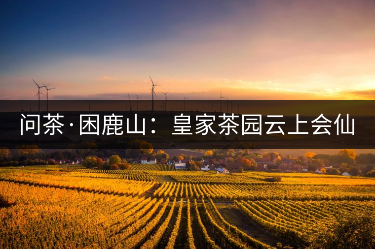 問茶·困鹿山：皇家茶園云上會(huì)仙