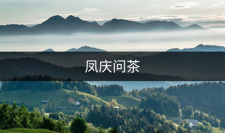 鳳慶問(wèn)茶 鳳慶問(wèn)茶