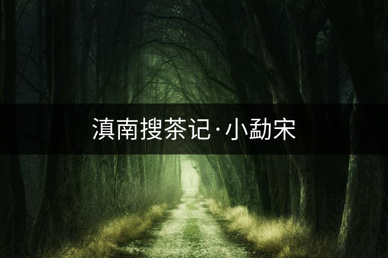滇南搜茶記·小勐宋