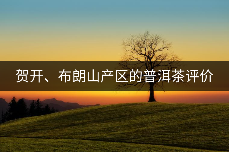 賀開、布朗山產(chǎn)區(qū)的普洱茶評(píng)價(jià)