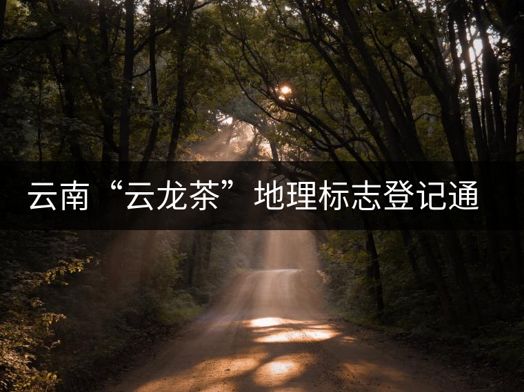 云南“云龍茶”地理標(biāo)志登記通過專家評(píng)審