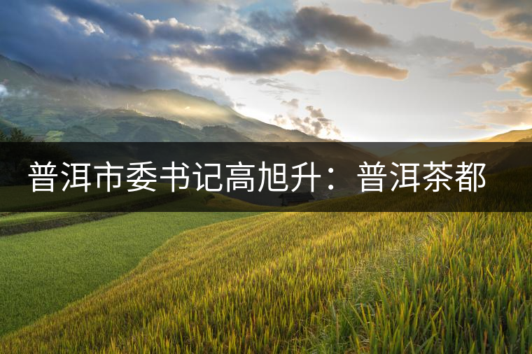 普洱市委書記高旭升:普洱茶都明天更美好 普洱市委書記高旭升:普洱茶都明天更美好