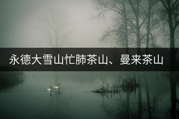 永德大雪山忙肺茶山、曼來(lái)茶山、放牛場(chǎng)茶園的生態(tài)指數(shù)