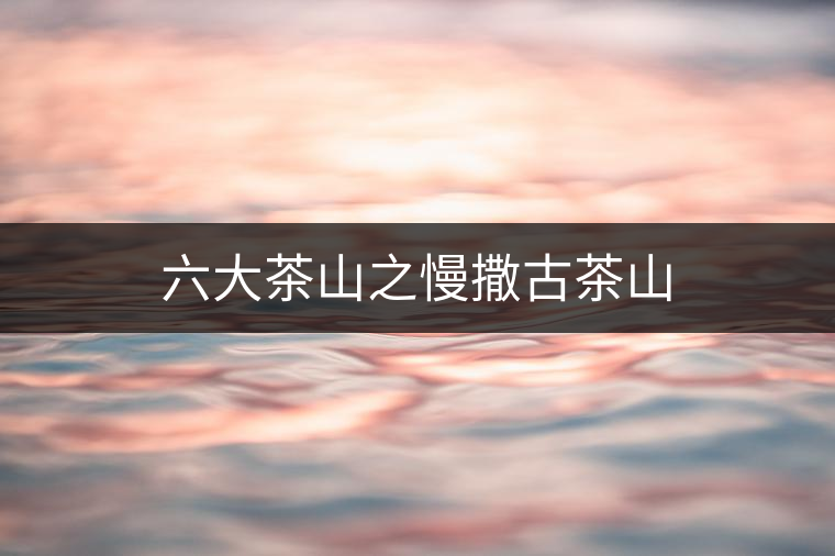 六大茶山之慢撒古茶山 六大茶山之慢撒古茶山