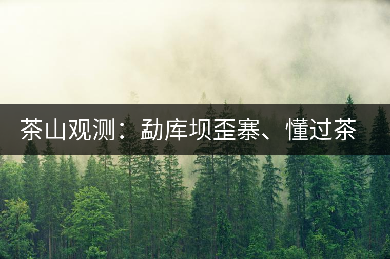 茶山觀測：勐庫壩歪寨、懂過茶山、大戶寨等茶山的生態(tài)指數(shù)