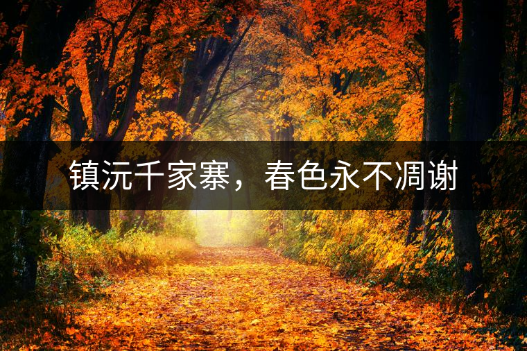 鎮(zhèn)沅千家寨，春色永不凋謝