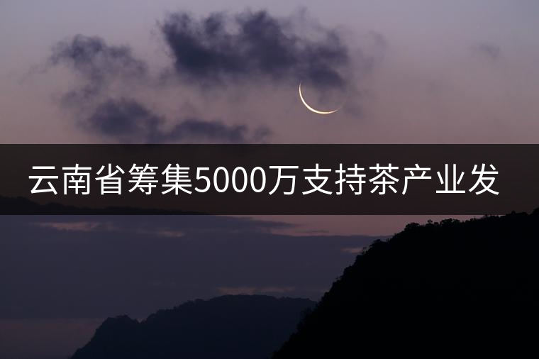 云南省籌集5000萬支持茶產(chǎn)業(yè)發(fā)展 云南省籌集5000萬支持茶產(chǎn)業(yè)發(fā)展