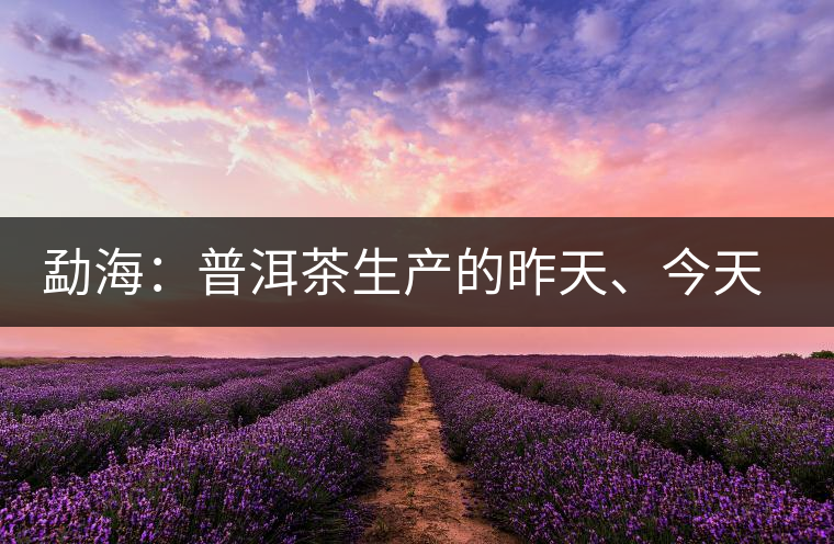 勐海：普洱茶生產(chǎn)的昨天、今天、明天