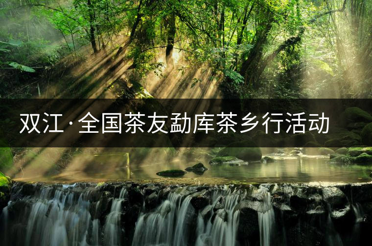 雙江·全國(guó)茶友勐庫(kù)茶鄉(xiāng)行活動(dòng)舉行