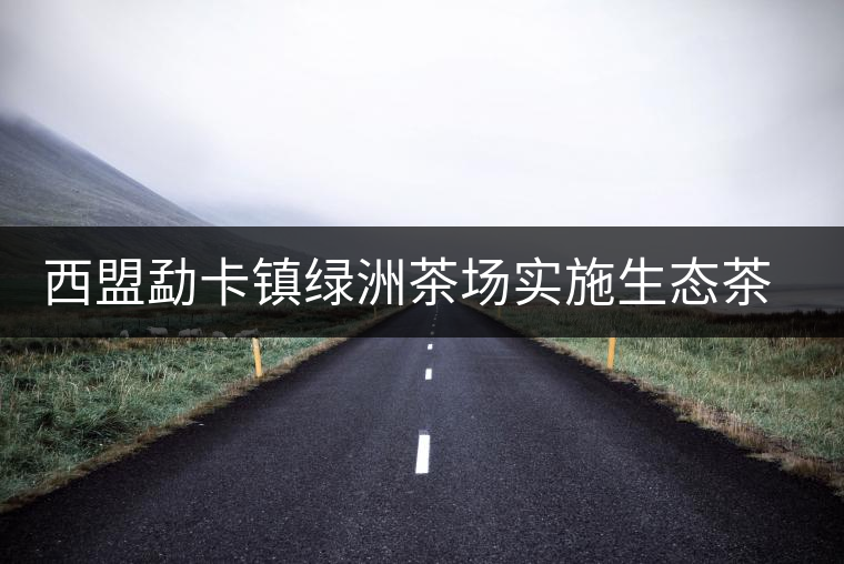 西盟勐卡鎮(zhèn)綠洲茶場實施生態(tài)茶園改造見效益