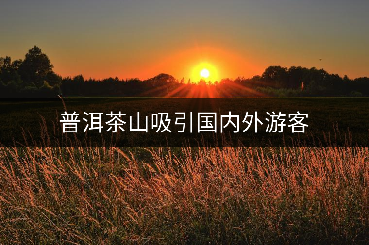 普洱茶山吸引國內(nèi)外游客 普洱茶山吸引國內(nèi)外游客