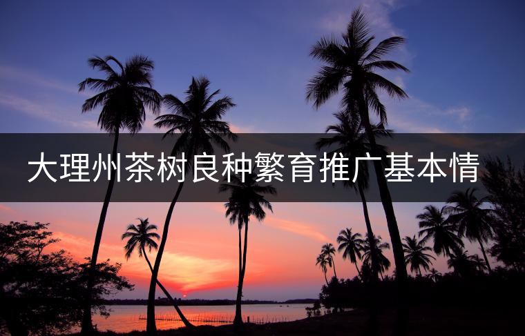 大理州茶樹良種繁育推廣基本情況 大理州茶樹良種繁育推廣基本情況