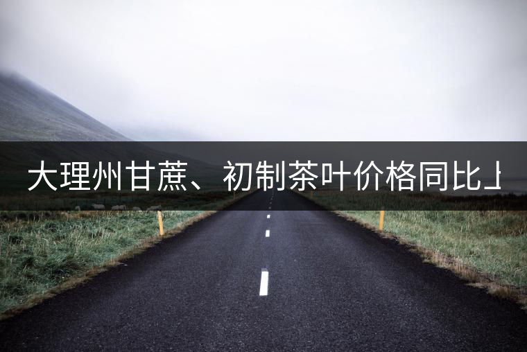 大理州甘蔗、初制茶葉價(jià)格同比上漲30%以上 大理州甘蔗、初制茶葉價(jià)格同比上漲30%以上