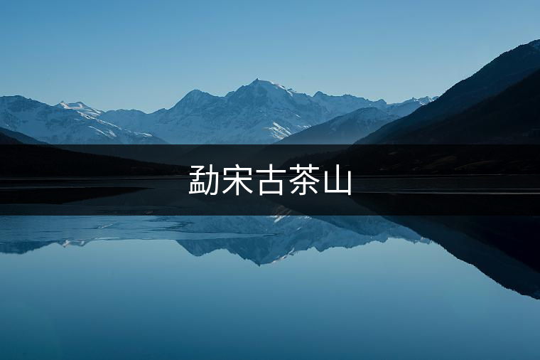 勐宋古茶山 勐宋古茶山