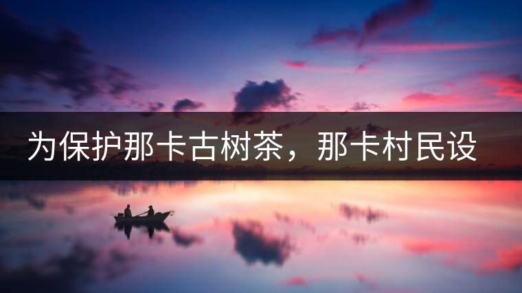 為保護那卡古樹茶，那卡村民設公約牌