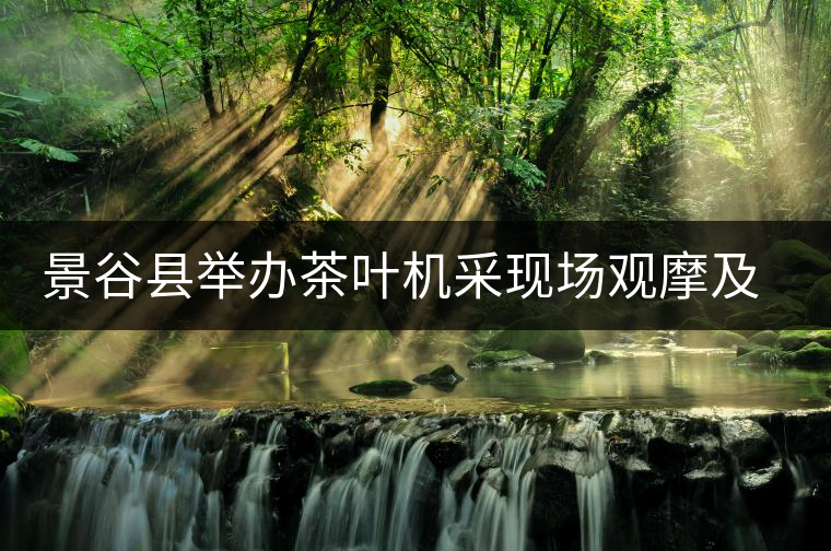 景谷縣舉辦茶葉機采現(xiàn)場觀摩及技術(shù)培訓(xùn)會 景谷縣舉辦茶葉機采現(xiàn)場觀摩及技術(shù)培訓(xùn)會