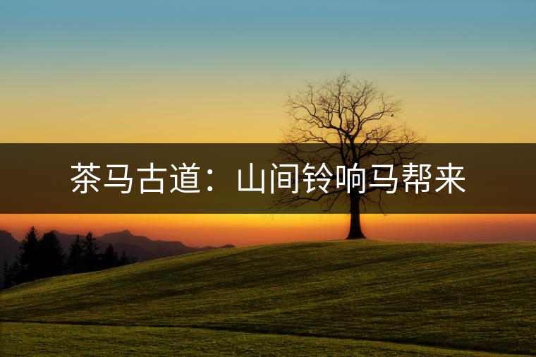 茶馬古道:山間鈴響馬幫來(lái) 茶馬古道:山間鈴響馬幫來(lái)