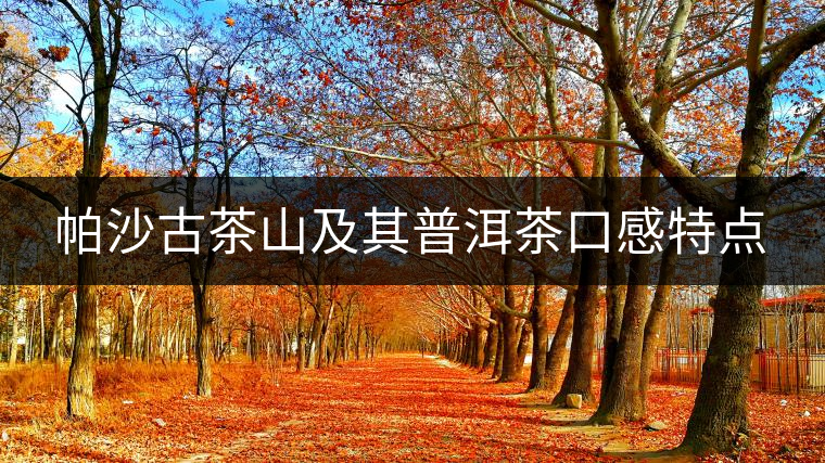 帕沙古茶山及其普洱茶口感特點(diǎn)