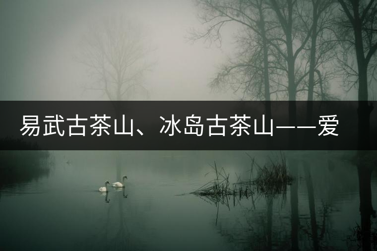 易武古茶山、冰島古茶山——愛(ài)茶人的旅游選擇