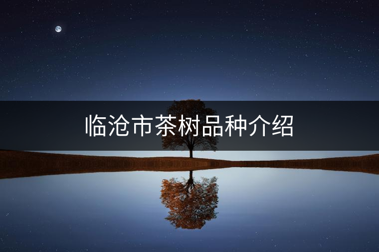 臨滄市茶樹品種介紹 臨滄市茶樹品種介紹