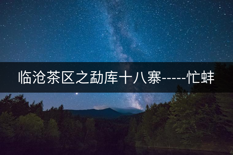 臨滄茶區(qū)之勐庫(kù)十八寨-----忙蚌 臨滄茶區(qū)之勐庫(kù)十八寨-----忙蚌