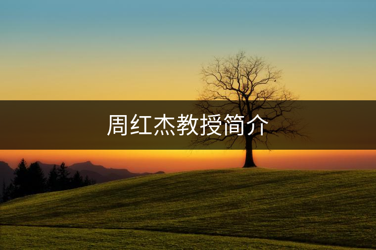 周紅杰教授簡介 周紅杰教授簡介