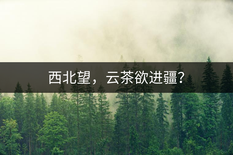 西北望，云茶欲進(jìn)疆？