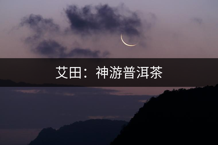 艾田：神游普洱茶