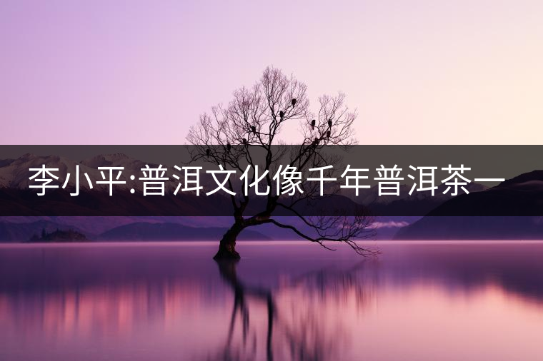 李小平:普洱文化像千年普洱茶一樣越陳越香 李小平:普洱文化像千年普洱茶一樣越陳越香